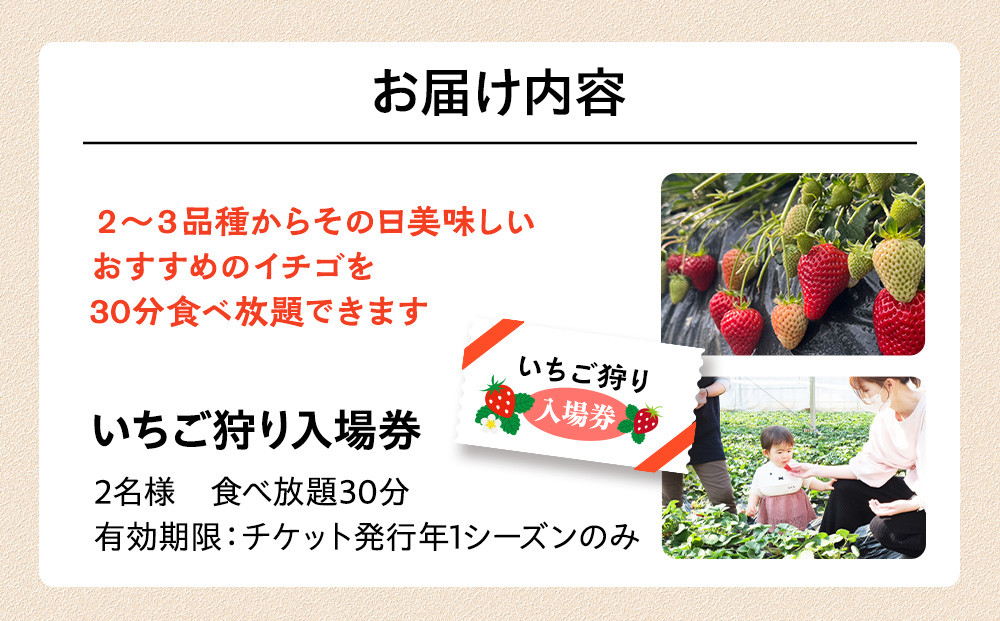 いちご狩り　入場券　2名様　食べ放題30分