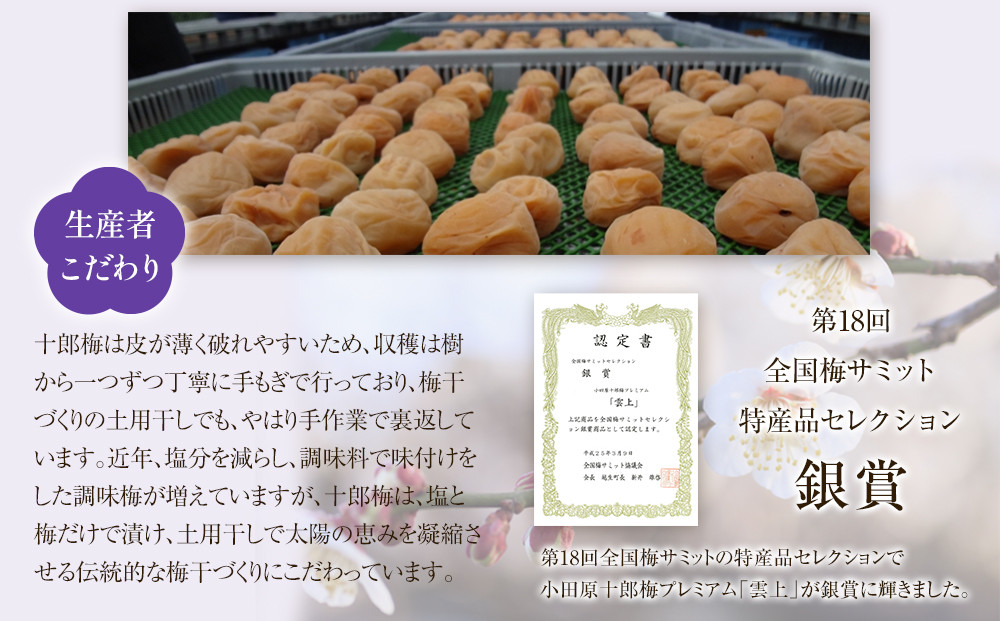 【小田原のブランド梅の大粒梅干し】雲上５個入り【 梅干し 神奈川県 小田原市 】