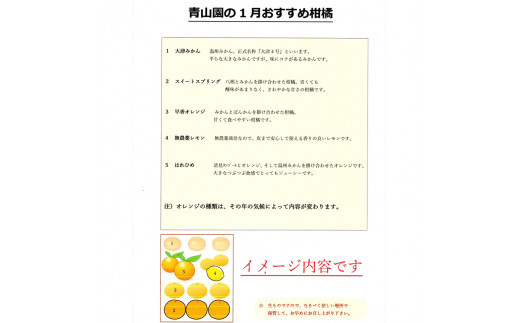 【先行予約】1月おすすめ柑橘詰め合わせ5kg箱＜出荷開始：2026年1月5日~1月25日＞【 フルーツ 神奈川県 小田原市 】