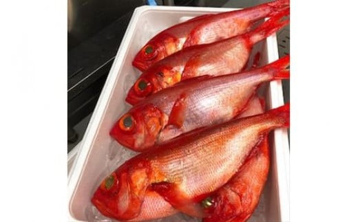 ・生から湯煎で仕上げる、金目鯛の煮付け【切身2枚】【惣菜 キンメ きんめ お取り寄せ 御中元 お中元 お歳暮 父の日 母の日 贈り物 日本酒 焼酎 稲取産 高級地金目使用 煮付け 神奈川県 小田原市 】