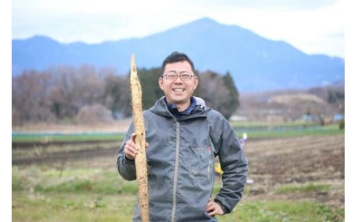 お店の味をご家庭で。【箱根自然薯の森 山薬】自然薯セット(2～3人前×2回分)【とろろ 極上とろろ 山芋 箱根 お家用 家庭用 国産 セット商品 自然薯 神奈川県 小田原市 】