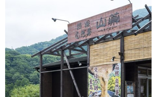 解凍するだけ！毎日の新しい健康習慣に！自然薯味付とろろ100ｇ３０ｐセット【とろろ 極上とろろ 山芋 箱根 お家用 家庭用 国産 セット商品 自然薯 味付とろろ 神奈川県 小田原市 】