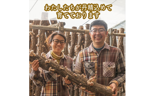 峯セット　しいたけ味噌≪お得サイズ≫　190ｇ×３本【 家庭用 自宅用 贈答品 贈答用 ギフト お取り寄せ お中元 お歳暮 贈り物 お祝い 神奈川県 小田原市 】