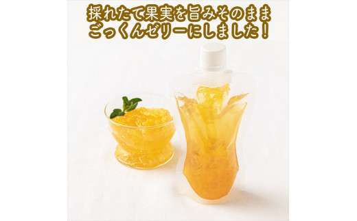 手づくりごっくんゼリー 10本セット 130ml みかん２種（グラニュー糖と粗糖）、 キウイ（グラニュー糖）【 家庭用 自宅用 贈答品 贈答用 ギフト お取り寄せ お中元 お歳暮 贈り物 お祝い 神奈川県 小田原市 】