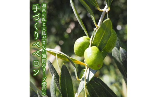 しいたけペペロン　6個セット【 家庭用 自宅用 贈答品 贈答用 ギフト お取り寄せ お中元 お歳暮 贈り物 お祝い 神奈川県 小田原市 】