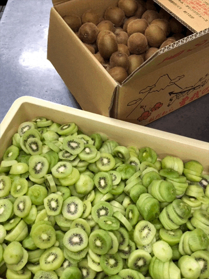 小田原老舗和菓子店の手づくり小田原キウイの生ようかん【和菓子店 手作りようかん 小田原キウイの生ようかん キウイフルーツ 職人の手作り 銘菓　自家製キウイジャム 神奈川県 小田原市 】