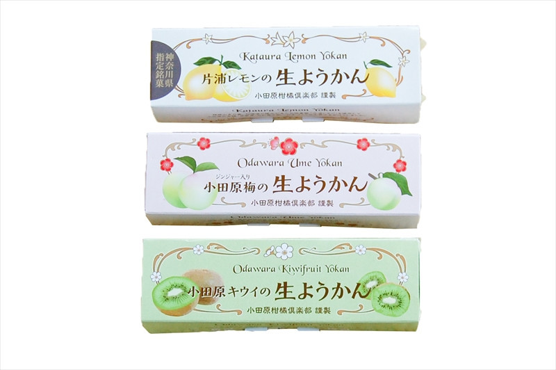 【さっぱりとした現代感覚のフルーツ生ようかんセット】（片浦レモン、小田原キウイ、ジンジャー入り小田原梅 各1本）創業昭和10年 小田原 伊勢屋【 和菓子店 ようかん 神奈川県指定銘菓 神奈川県 小田原市 】