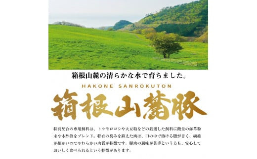 【定期便６ヵ月】箱根山麓豚　モモ・ウデ切り落とし３K盛り(500ｇ×６パック)【 箱根山麓豚 切り落とし 神奈川県 小田原市 】
