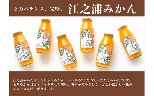 ギフトセット１８０ｍｌ６本入り 小田原産江之浦みかん１００％ストレートジュース１８０ml６本