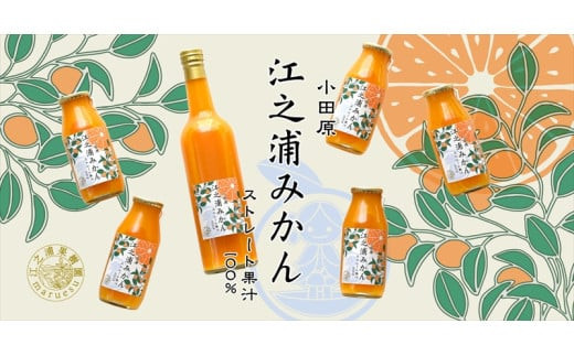 【定期便 （2カ月ごと全4回）】小田原産江之浦みかん１００％ストレートジュース１８０ml３０本