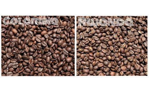 スペシャルティコーヒー 飲み比べセット【粉】 （５０g×６個）【 コーヒー 神奈川県 小田原市 】