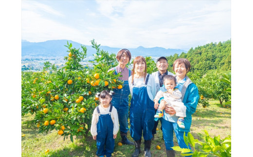 ＜品種厳選＞こだわりの貯蔵みかん　10キロ＜2025年12月20日出荷開始～2026年2月28日出荷終了＞【 みかん 神奈川県 小田原市 】