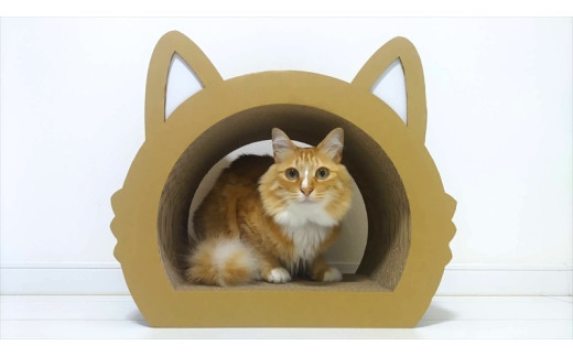 ねこの爪とぎ　みみCT＋かおCT セット　カラー；ホワイト【 ペット用品 爪とぎ 神奈川県 小田原市 】