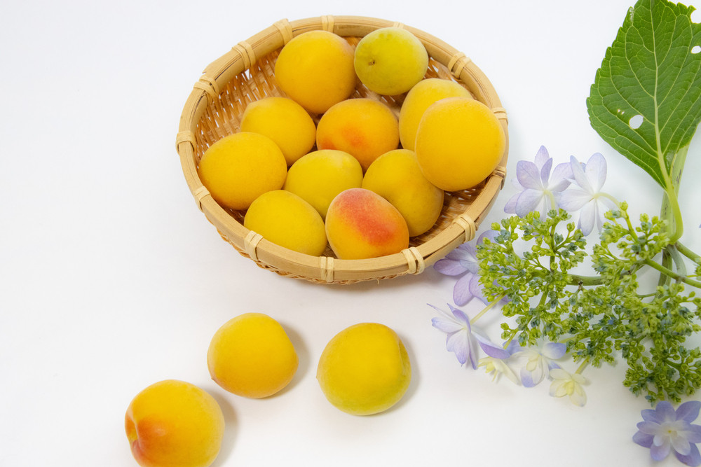 小田原 梅の輝き720ML瓶（梅ドリンク）2本セット【 飲み物 ドリンク 神奈川県 小田原市 】