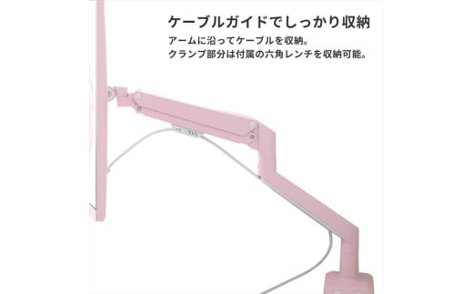 Pixio モニターアーム デュアル 耐荷重9kg/1本 ミントグリーン/緑 PSW1DMT