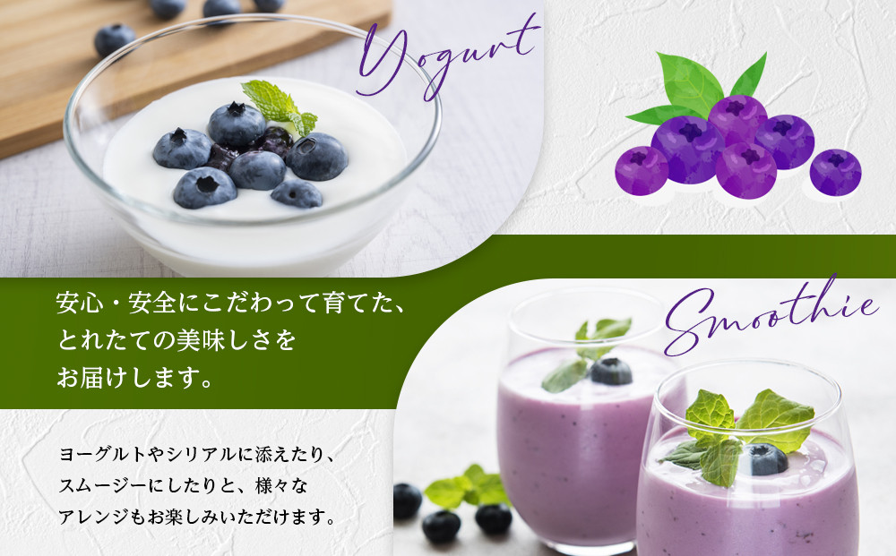 【農薬不使用】 手摘み生ブルーベリー 1kg