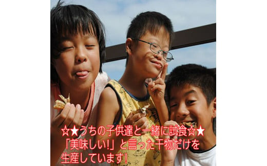 おまかせ干物セット 2倍セット【お取り寄せ 海鮮 グルメ ギフト プレゼント 産地直送 産直 魚 手作り ひもの 詰め合わせ お中元 お歳暮 父の日 母の日 誕生日 自宅用 贈答品 贈答用 朝食 バーベキュー 神奈川県 小田原市】