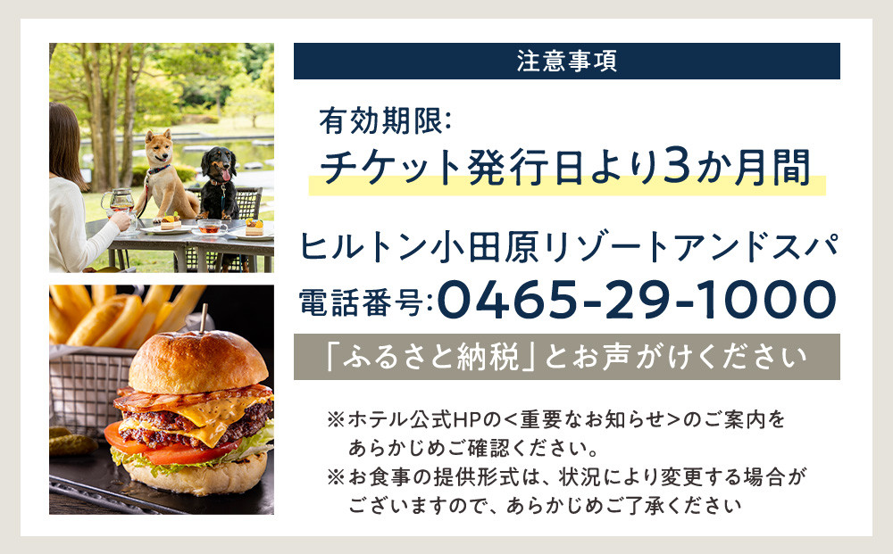 ブラッセリー「フローラ」ランチブッフェ招待券【ヒルトン ブッフェ　ブラッセリー「フローラ」 1組2名様 招待券 食事 肉 魚 野菜 デザート プレゼント 記念　旅行 ヒルトン小田原 ご褒美 神奈川県 小田原市 】