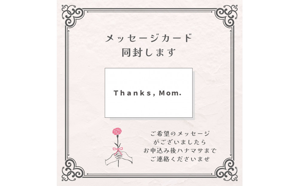 《母の日限定》カーネーションのブーケ＜出荷時期：2026年5月6日～5月9日＞