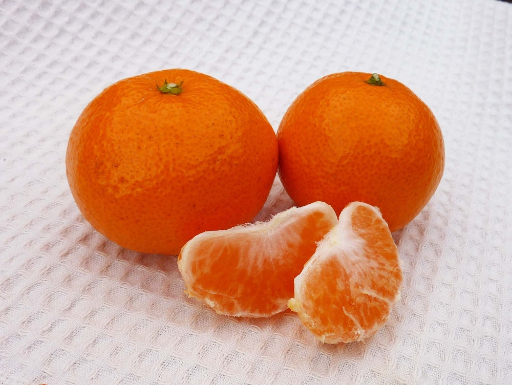 あきさわ園の土蔵熟成「蔵熟みかん」　10kg〈出荷時期:2025年12月1日出荷開始～2026年2月20日出荷終了〉【 みかん 神奈川県 小田原市 】