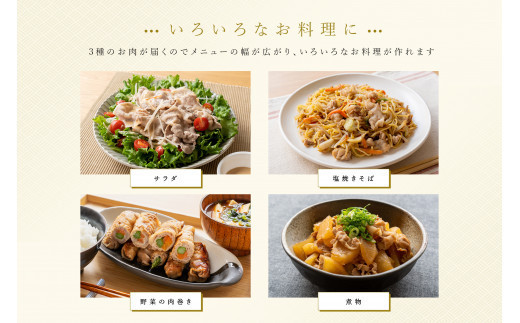 【定期便3ヵ月】 和豚 もちぶた しゃぶしゃぶ セット 合計 1.2kg ロース バラ 肩ロース ふるさと納税 【小分け ポーク 豚バラ 豚ロース 豚しゃぶ しゃぶしゃぶ肉 豚肉 贈答品 贈答用 ギフト お取り寄せ 御中元 お中元 お歳暮 贈り物 神奈川県 小田原市 】