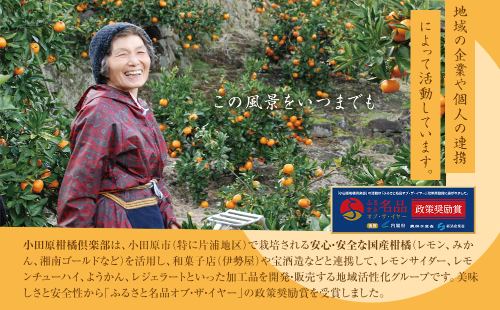 【小田原のフルーツ果汁を使ったドロップ3種類×2個セット】口に入れるとフルーツの香りが広がるドロップ。【 ドロップ 神奈川県 小田原市 】