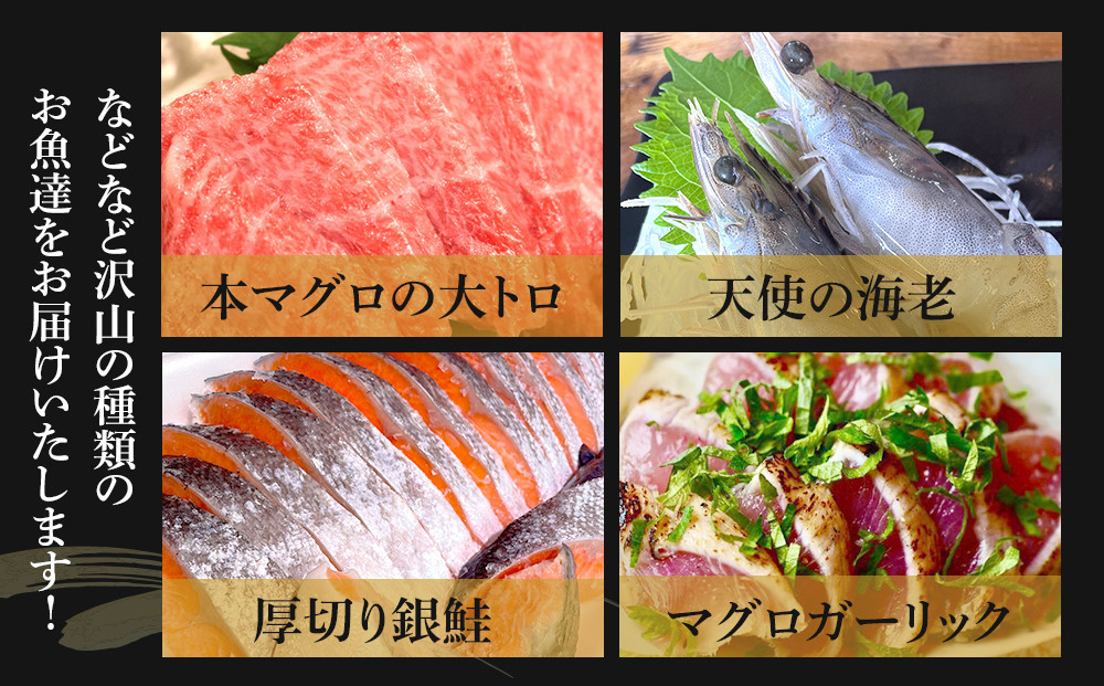 【3ヶ月に1度 3回配送 定期便】まぐろや　特別セット【 惣菜 まぐろ 鮪 本鮪 サーモン 海老 お刺身 海鮮 セット 福袋 キンメ きんめ お取り寄せ 御中元 お中元 お歳暮 父の日 母の日 贈り物 日本酒 焼酎】【神奈川県小田原市】