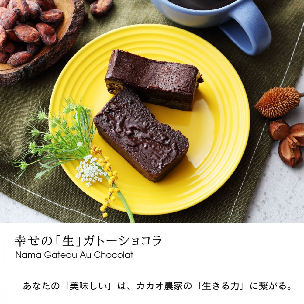 極上の口溶け。幸せの生ガトーショコラ 300g 2本セット【 高級 濃厚  極上スイーツ グルテンフリー チョコ ショコラテリーヌ 高品質クーベルチュールチョコレート使用 一流シェフ 神奈川県 小田原市 】