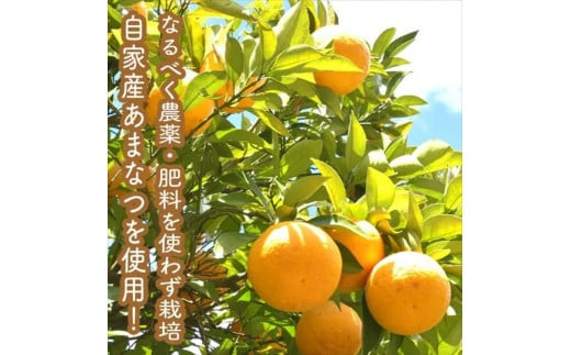 手づくりジャムソース 4本セット 手作りみかん キウイ あまなつ ブルーベリー 125ml 詰め合わせ ギフト 【 家庭用 自宅用 贈答品 贈答用 ギフト お取り寄せ お中元 お歳暮 贈り物 お祝い 神奈川県 小田原市 】