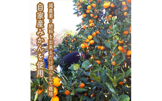 手づくりごっくんゼリー 10本セット 130ml みかん２種（グラニュー糖と粗糖）、 キウイ（グラニュー糖）【 家庭用 自宅用 贈答品 贈答用 ギフト お取り寄せ お中元 お歳暮 贈り物 お祝い 神奈川県 小田原市 】