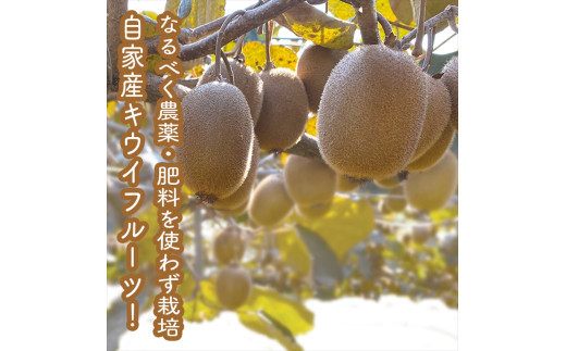 スイスで加工品を学んだ農家が手間暇かけた『手づくりジャムソース【キウイ】』8本セット【 家庭用 自宅用 贈答品 贈答用 ギフト お取り寄せ お中元 お歳暮 贈り物 お祝い 神奈川県 小田原市 】