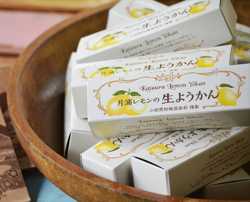 小田原老舗和菓子店の手づくり片浦レモンの生ようかん【和菓子店 手作りようかん 片浦レモンの生ようかん  職人の手作り 神奈川県指定銘菓 レモン 和スイーツ   神奈川県 小田原市 】