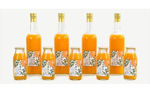 【定期便 （2カ月ごと全6回）】小田原産江之浦みかん１００％ストレートジュース５００ml６本