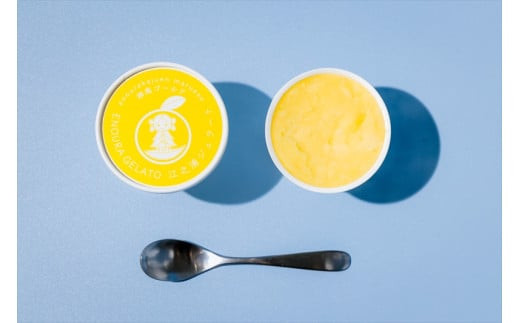 小田原産江之浦ジェラート６種（みかん、湘南ゴールド、ブルーベリーミルク、いちごミルク、キウイヨーグルト、甘夏ヨーグルト）120mlカップ各４個合計２４個