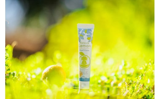 小田原 片浦レモンハンドクリーム６個