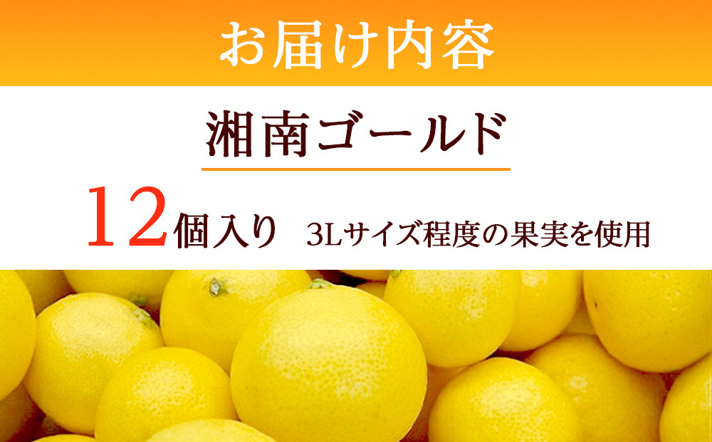 〈超希少商品〉神奈川生まれの柑橘 ハウス栽培の湘南ゴールド＜出荷開始：２０２６年２月１５日出荷開始～２０２６年３月１０日出荷終了＞【フルーツ オレンジ 果物 柑橘 贈答用 家庭用 自宅用  神奈川県小田原市】