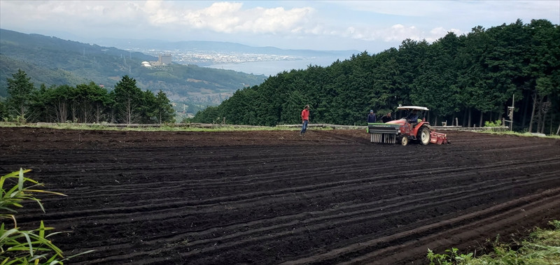 小田原・箱根唯一のそば畑から　小田原北条そば　贈呈用 生粉5割　200ｇ×3袋   生粉３割　200ｇ×3袋 そばつゆ【 そば 家庭用 自宅用 贈答品 贈答用 ギフト お取り寄せ 御中元 お中元 お歳暮 贈り物 SOBA 蕎麦 麺 メン めん 神奈川県 小田原市 】