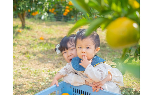 ＜品種厳選＞こだわりの貯蔵みかん　10キロ＜2025年12月20日出荷開始～2026年2月28日出荷終了＞【 みかん 神奈川県 小田原市 】