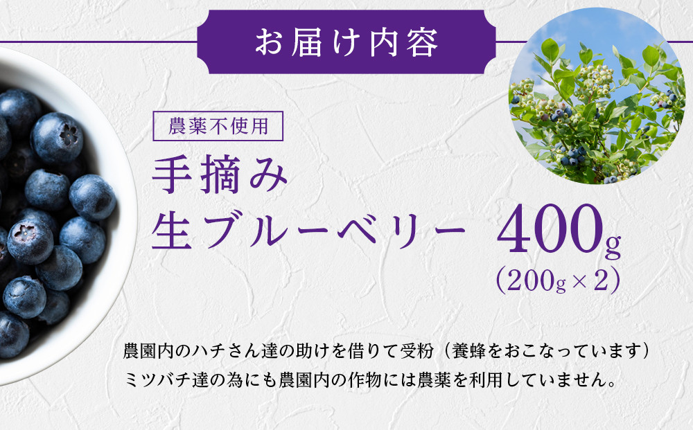 【農薬不使用】 手摘み生ブルーベリー 400g