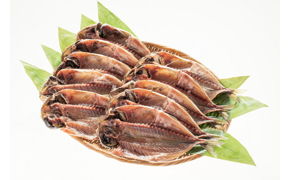 小田原ひもの詰合せ　SA30【惣菜 魚 干物 ひもの お取り寄せ 御中元 お中元 お歳暮 父の日 母の日 贈り物 家庭用 自宅用 贈答品 贈答用 ギフト 定番 朝食 朝ごはん 国産 中あじ  神奈川県 小田原市 】