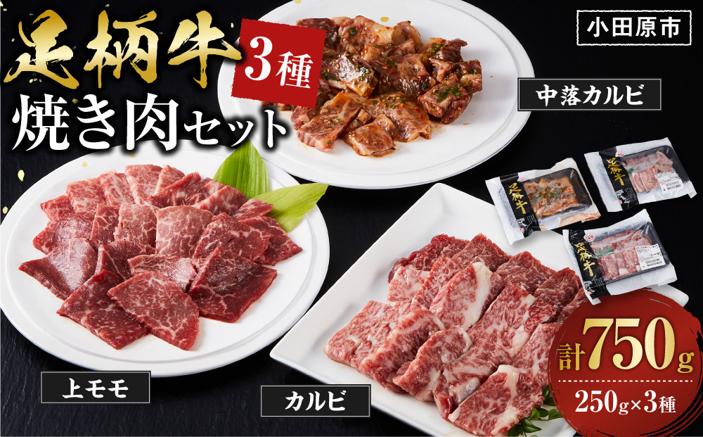 足柄牛3種焼肉セット（カルビ　上モモ　中落カルビ各250ｇ）【 肉 国産  神奈川県 小田原市 】