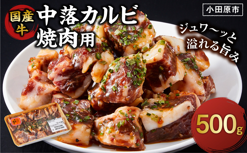 国産牛中落カルビ焼肉用500g【 肉 国産  神奈川県 小田原市 】
