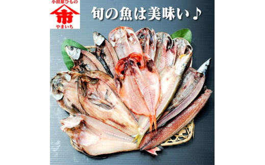 おまかせ干物セット 3倍セット【惣菜 魚 干物 ひもの お取り寄せ 御中元 お中元 お歳暮 父の日 母の日 贈り物 家庭用 自宅用 贈答品 贈答用 ギフト 定番 神奈川県 小田原市 】