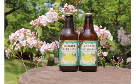小田原レモンクラフトチューハイ　48本セット