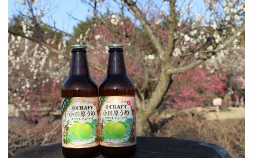 小田原うめクラフトチューハイ　12本セット