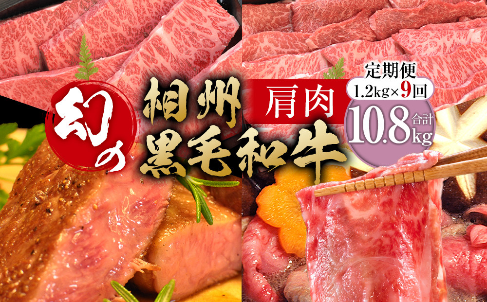 【牛肉 定期便 9回】 幻の相州黒毛和牛肩肉 1.2kg×9回 計10.8kg【相州黒毛和牛 相州牛 幻の牛肉 極上の旨味と風味 キメ細かな上質の脂 様々な料理に ブランド牛 ブランド牛肉 神奈川特産品 神奈川県 小田原市 】