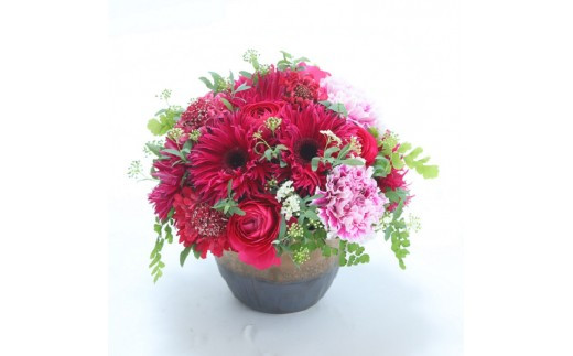 季節のアレンジメント Ｓサイズ【季節のアレンジメント Sサイズ フラワーライフ 世界らん展 フラワードリームジャパンカップ フラワーアレンジメント 幅25cm、奥行き25cm、高さ30cm 神奈川県 小田原市 】