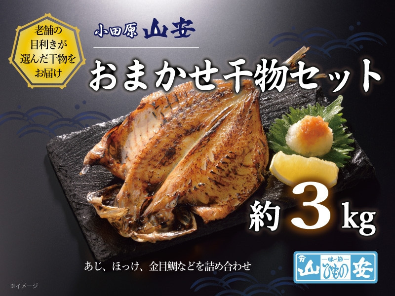 【 小田原 山安 】 おまかせ干物セット 約3kg 【 縞ほっけ開き干し 金目鯛開き干し 真あじ開き干し 赤魚開き干し さば半身干し かます開き干し 干物 大容量 詰合せ 神奈川県 小田原市 】