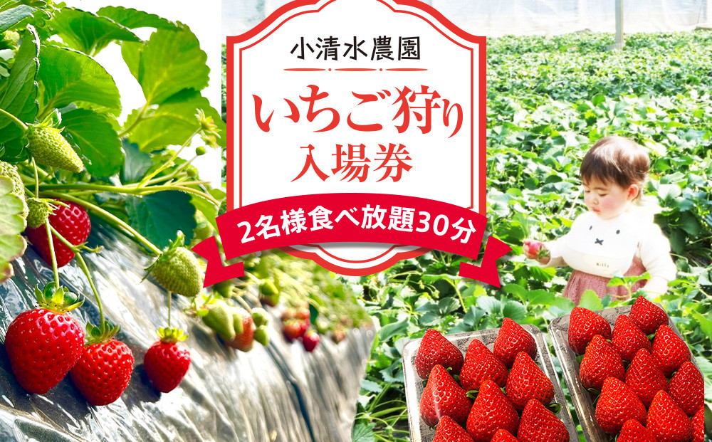 いちご狩り　入場券　2名様　食べ放題30分