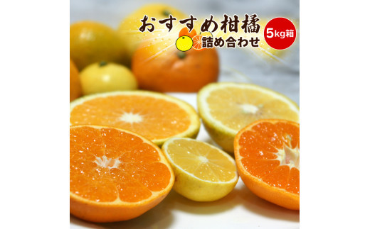 【先行予約】3月おすすめ柑橘詰め合わせ５kg箱＜出荷開始：2026年3月5日~3月25日＞【 フルーツ 神奈川県 小田原市 】